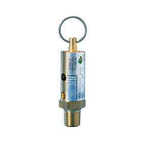 0548-A01-KM0030 0548-A01-KM0030 Kunkle Valve  Pneumatic relief valve, 1/4"