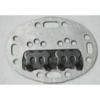06DA660151 06DA660151 Carlyle Valve Plate Assembly Package for Carlyle 06D